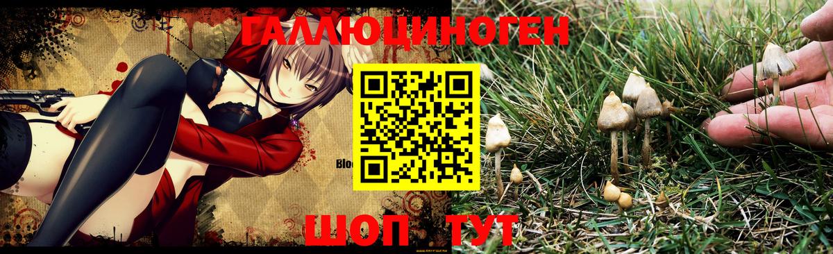 Галлюциногенные грибы мицелий Людиново