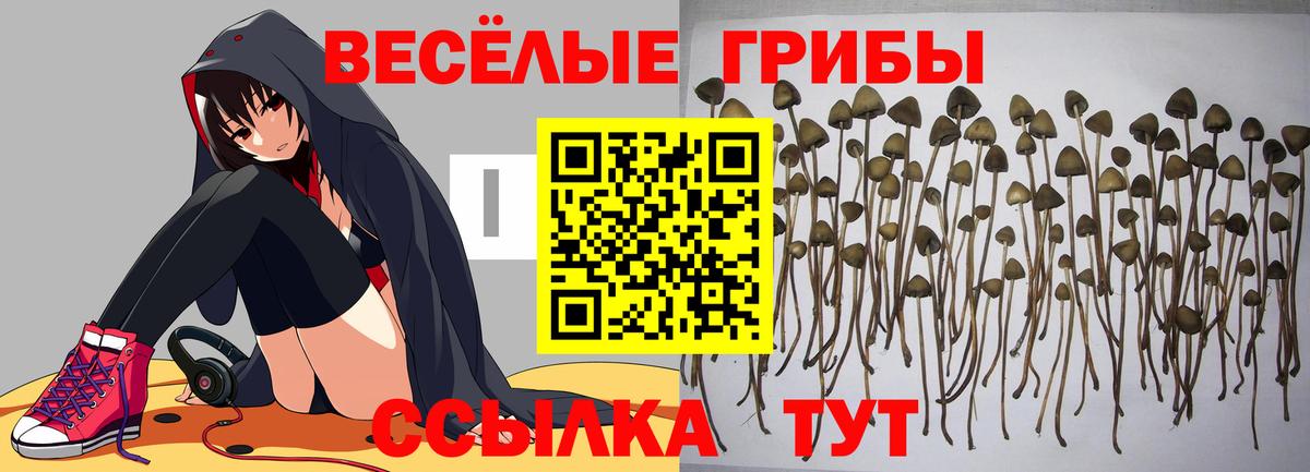 Людиново  Галлюциногенные грибы мухоморы  закладки  Вход с VPN  Псилоцибиновые грибы Cubensis 